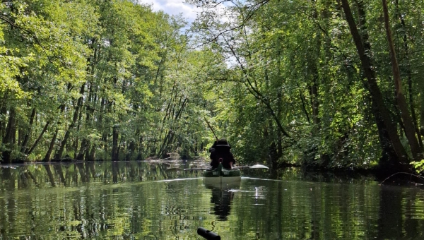 Wasserwandern: 5 mehrtägige Kanutouren
